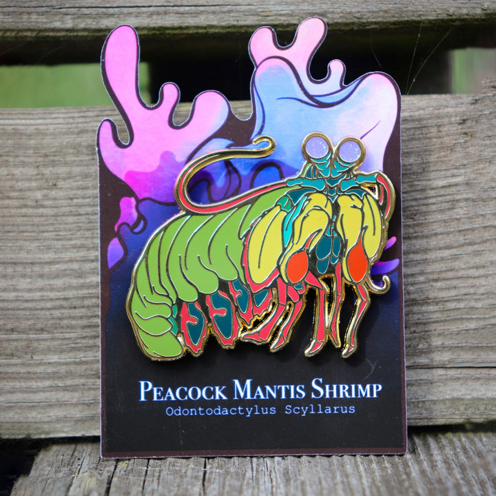 Peacock Mantis Shrimp Enamel Pin